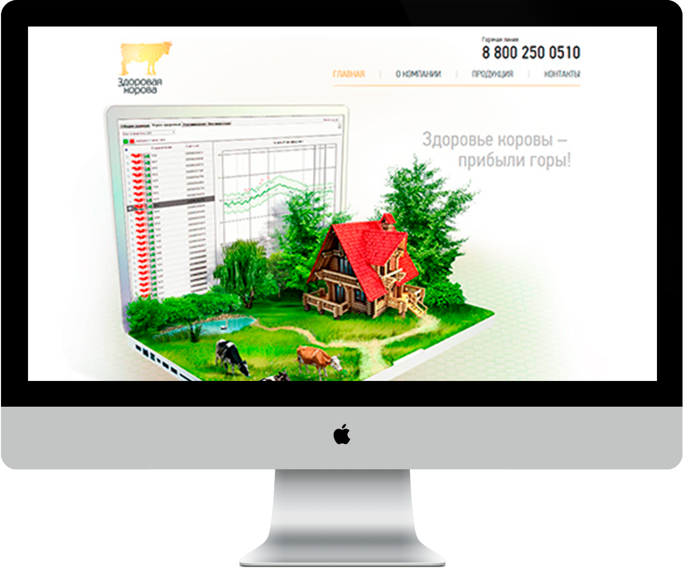 Разработка веб сайта Разработка веб сайта